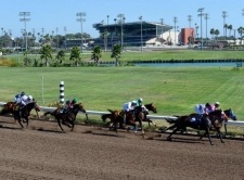 Off Track Betting District of Columbia