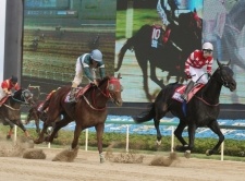 Off Track Betting Hawaii