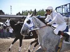 Off Track Betting Idaho