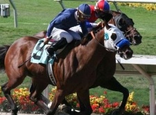 Off Track Betting Rhode Island