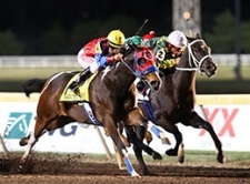 Off Track Betting South Dakota