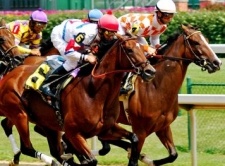 Off Track Betting Tennessee