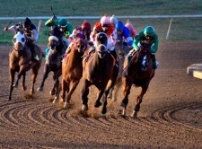 Off Track Betting Texas