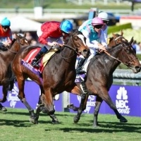 Breeders' Cup Filly & Mare Turf