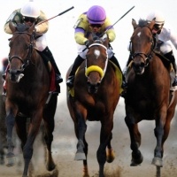 Jerome Stakes