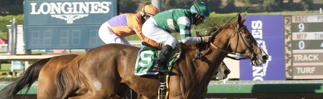 2017 Clement L. Hirsch Stakes Picks