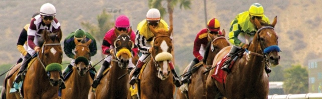 2017 Hollywood Derby Picks