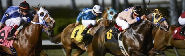2017 Los Alamitos Futurity Picks