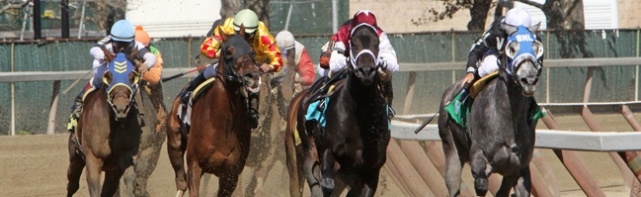 2017 Remsen Stakes Picks