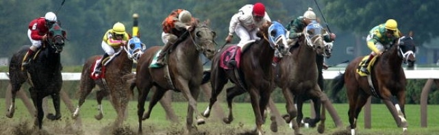 2017 Saratoga Test Stakes Picks