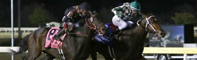 2017 Springboard Mile Picks