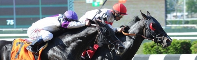 2018 Belmont Sprint Championship Picks