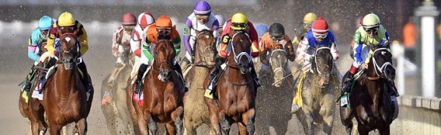 2018 Belmont Stakes Favorites And Dark Horses