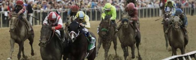 2018 Black-Eyed Susan Stakes Picks