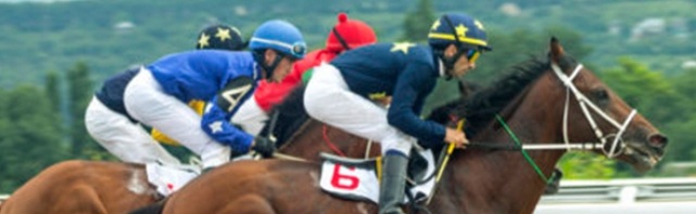 2018 Clement L. Hirsch Stakes Picks