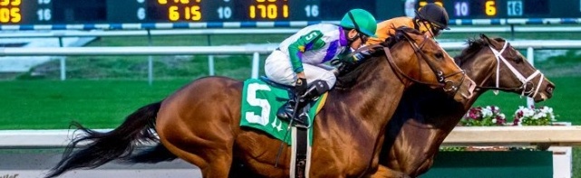 2018 Fair Grounds Oaks Odds, Picks