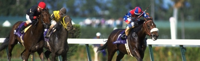 2018 Florida Derby Picks
