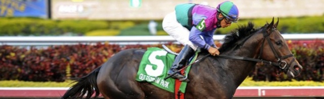 2018 Fountain of Youth Stakes at Gulfstream Odds, Predictions