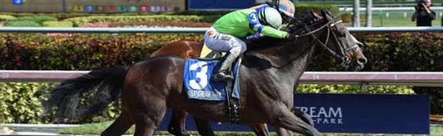 2018 Holy Bull Stakes Picks