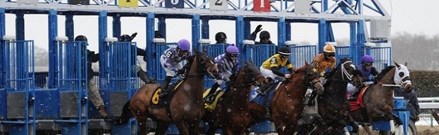 2018 Jerome at Aqueduct Picks