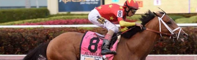 2018 Kentucky Derby Contenders: Audible