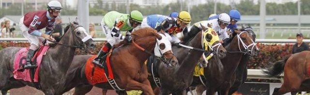 2018 Kentucky Derby Contenders: Enticed