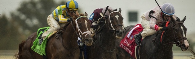2018 Kentucky Derby Contenders: Flameaway