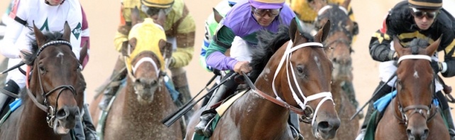 2018 Kentucky Derby Contenders: Magnum Moon