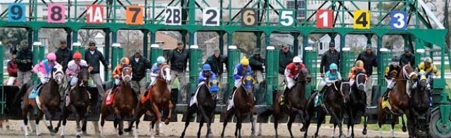 2018 LeComte Stakes Picks