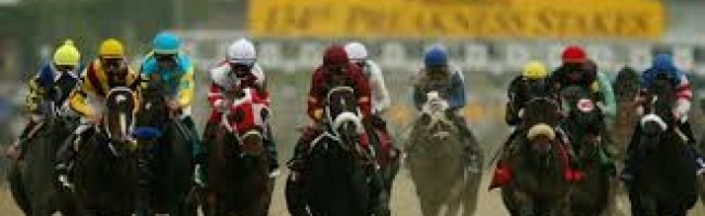 2018 Preakness Stakes Picks