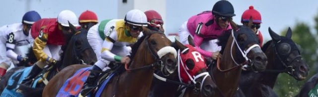 2018 Prince of Wales Stakes Picks