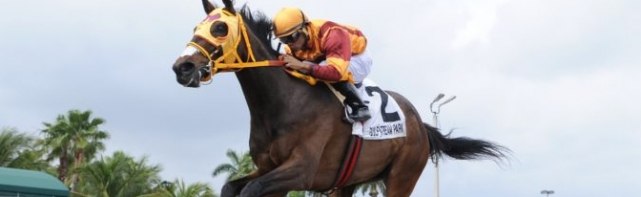 2018 Princess Rooney Handicap Picks