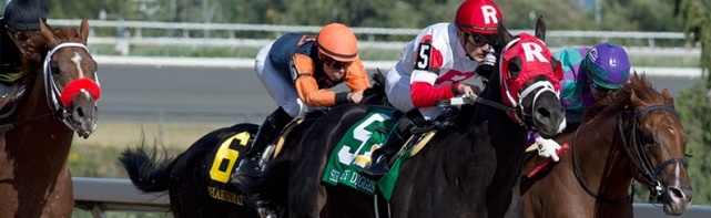 2018 Queen's Plate Picks