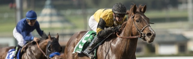 2018 Rebel Stakes Odds, Picks