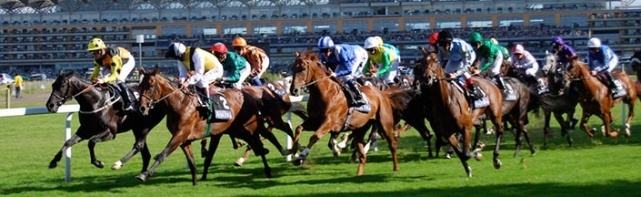 2018 Royal Ascot Breeders' Cup Qualifying Races