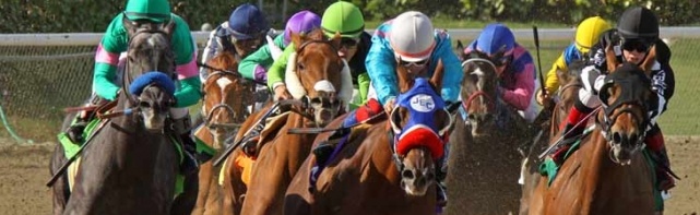 2018 San Felipe Stakes Odds, Picks