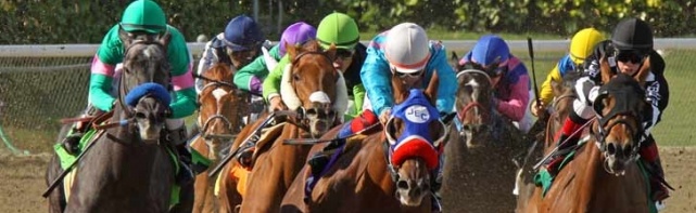 2018 Santa Anita Derby Picks
