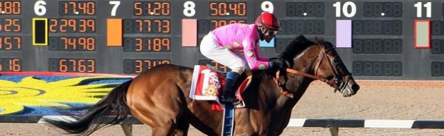 2018 Sunland Park Oaks Odds, Picks