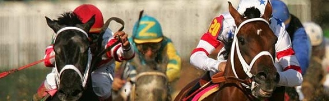 2018 Withers Stakes Picks