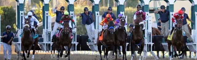 Awesome Again Stakes 2017 Picks