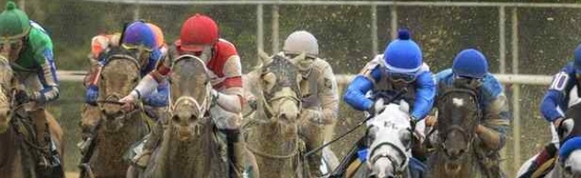 Belmont Stakes Exotics