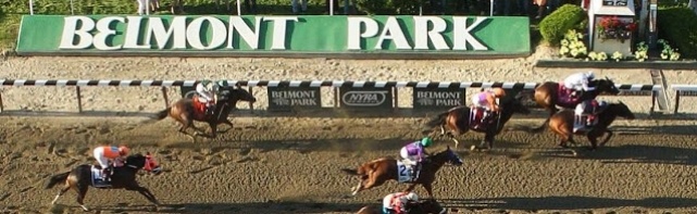Belmont Stakes Picks