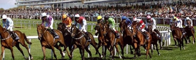 Bovada Horse Racing Futures Watch - 2018 Ascot Gold Cup