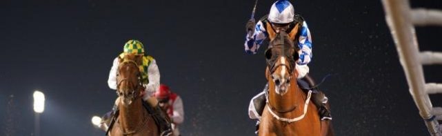 Bovada Horse Racing Futures Watch: 2018 Dubai World Cup
