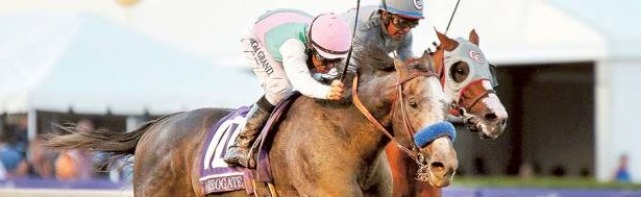 Breeders' Cup Classic Picks 2017