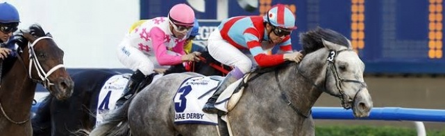 Breeders' Cup Dirt Mile Odds: Preview And Future Bets