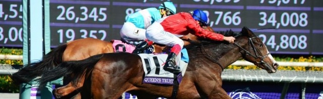 Breeders' Cup Filly And Mare Turf Odds: Preview And Future Bets