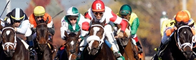 Breeders' Cup Filly & Mare Turf Picks 2017