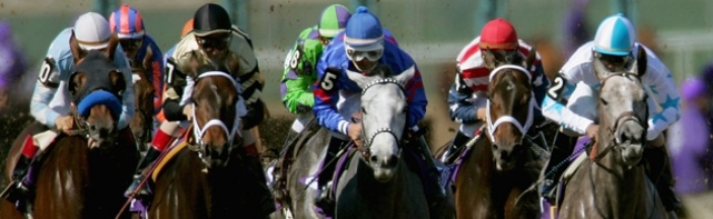 Breeders' Cup Juvenile Fillies Picks 2017