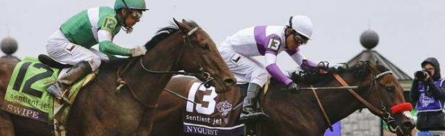 Breeders' Cup Juvenile Picks 2017